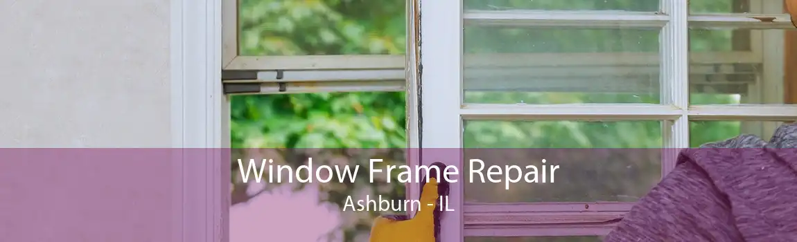 Window Frame Repair Ashburn - IL