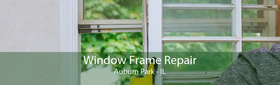 Window Frame Repair Auburn Park - IL