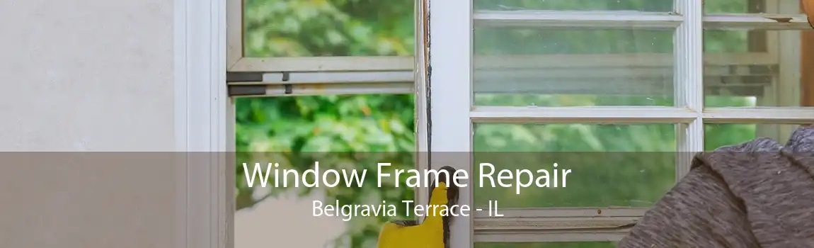 Window Frame Repair Belgravia Terrace - IL