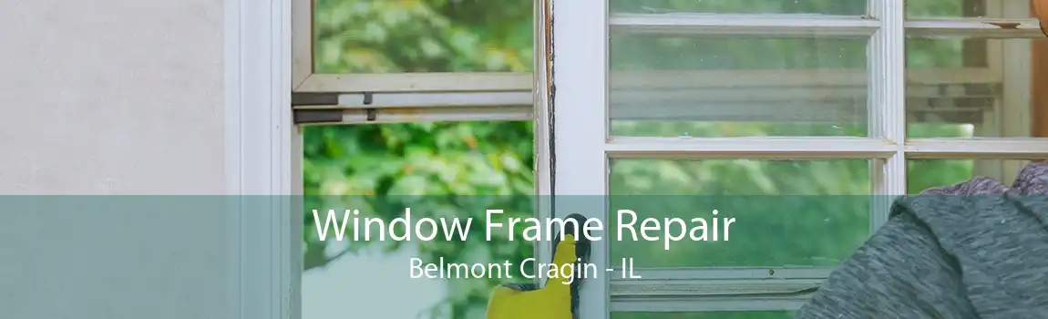 Window Frame Repair Belmont Cragin - IL