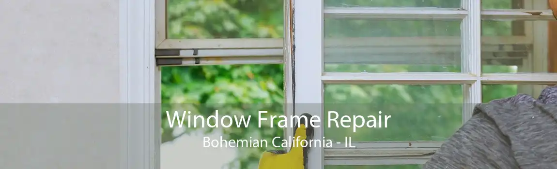 Window Frame Repair Bohemian California - IL