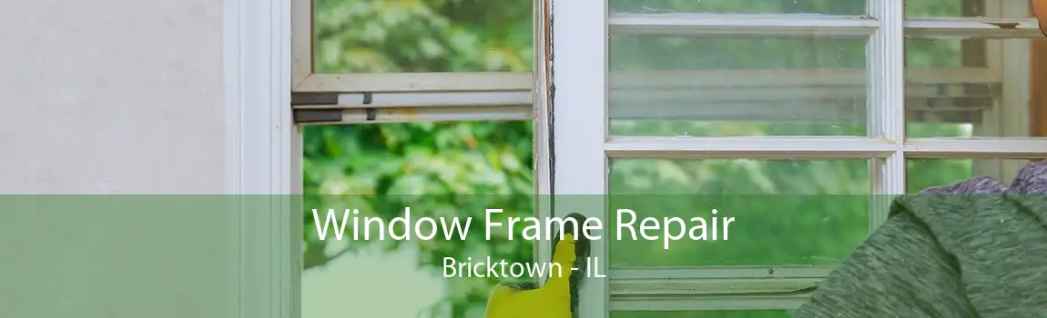 Window Frame Repair Bricktown - IL