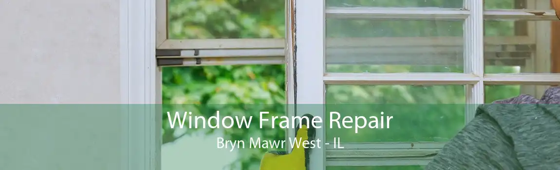 Window Frame Repair Bryn Mawr West - IL