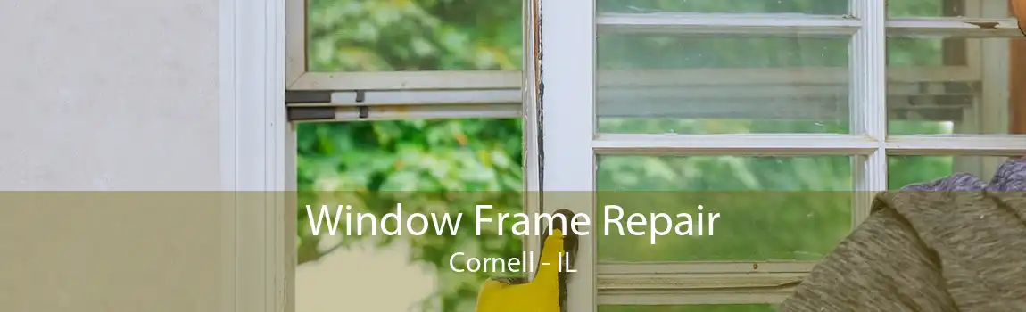 Window Frame Repair Cornell - IL