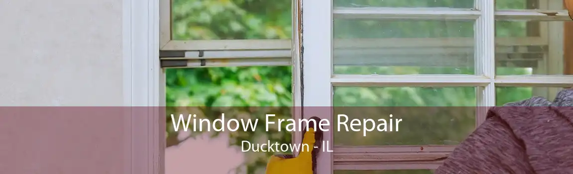 Window Frame Repair Ducktown - IL