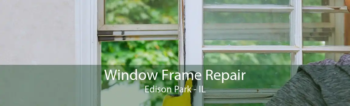 Window Frame Repair Edison Park - IL