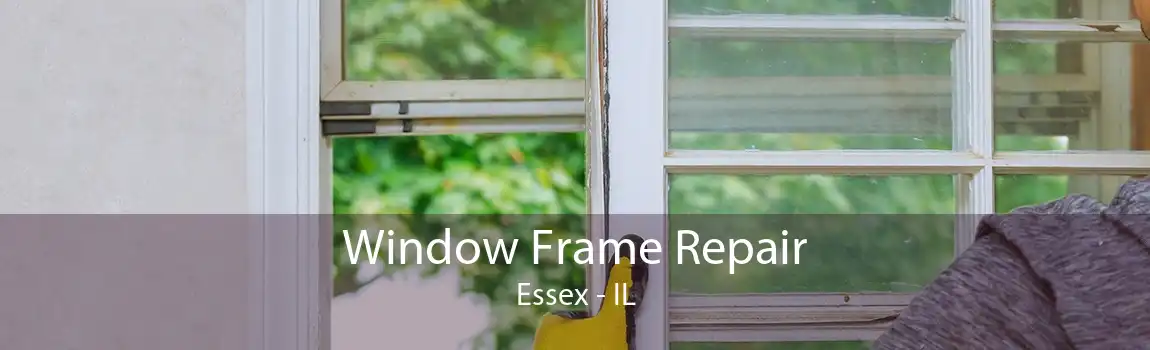 Window Frame Repair Essex - IL