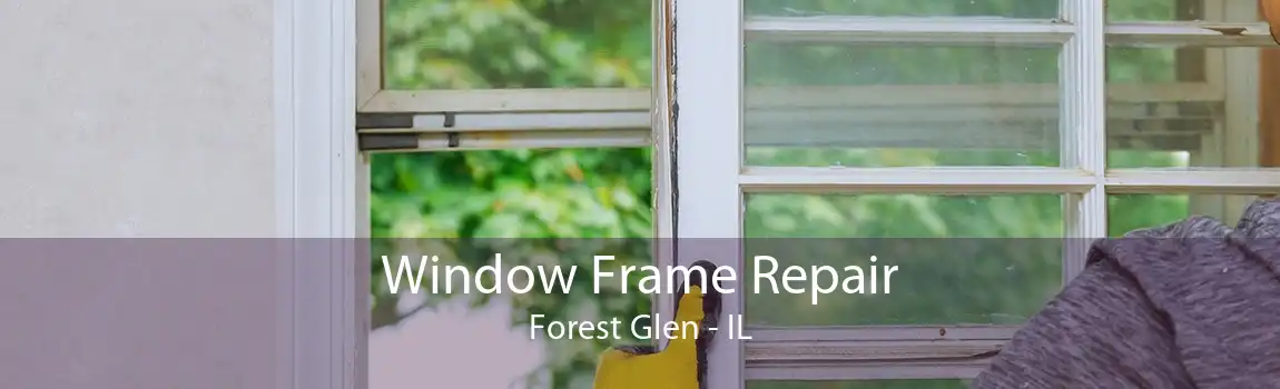 Window Frame Repair Forest Glen - IL