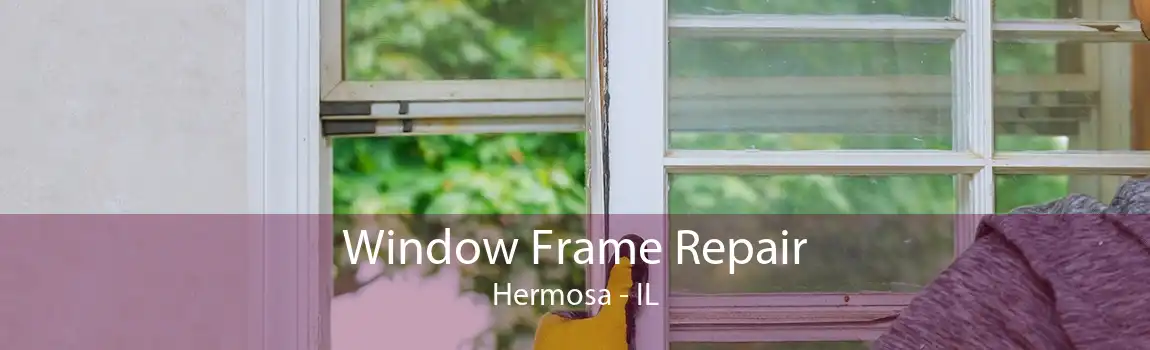 Window Frame Repair Hermosa - IL