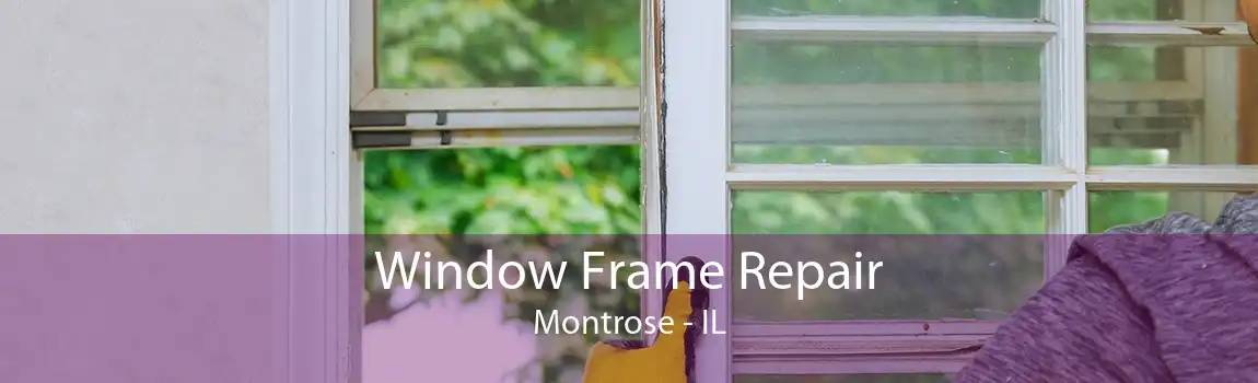 Window Frame Repair Montrose - IL