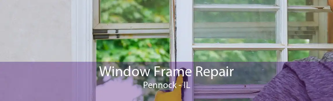 Window Frame Repair Pennock - IL