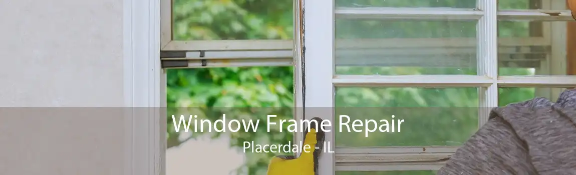 Window Frame Repair Placerdale - IL