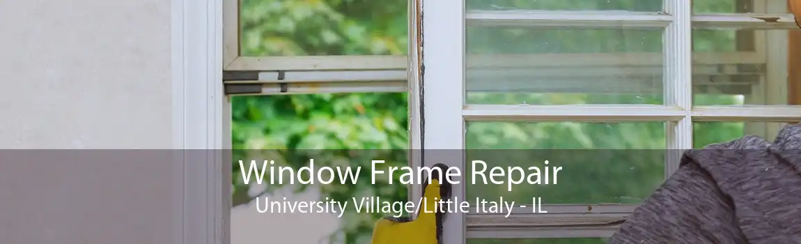 Window Frame Repair University Village/Little Italy - IL