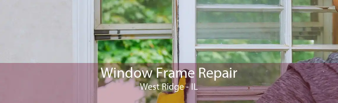 Window Frame Repair West Ridge - IL