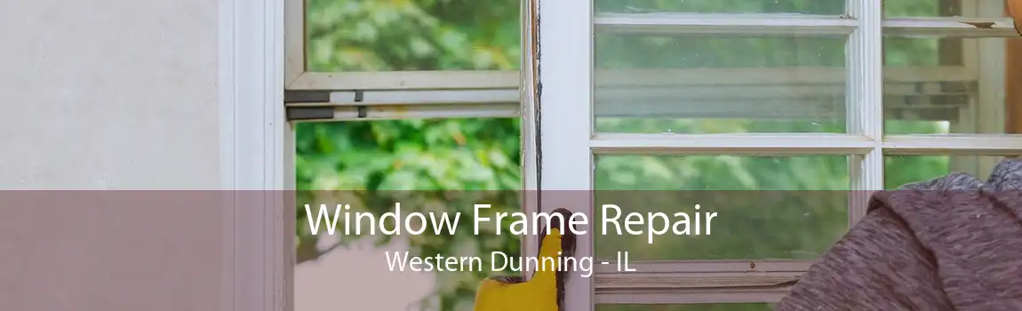 Window Frame Repair Western Dunning - IL