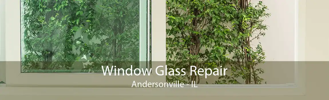 Window Glass Repair Andersonville - IL