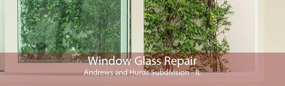 Window Glass Repair Andrews and Hurds Subdivision - IL