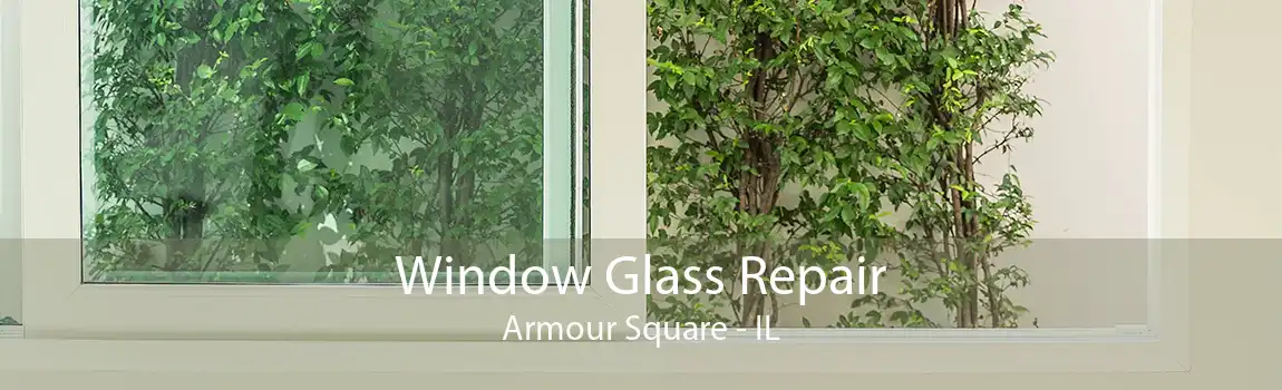 Window Glass Repair Armour Square - IL