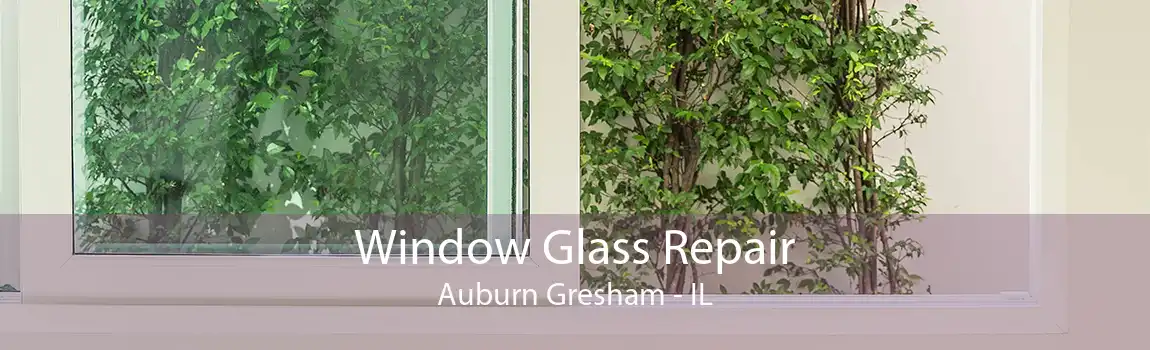 Window Glass Repair Auburn Gresham - IL