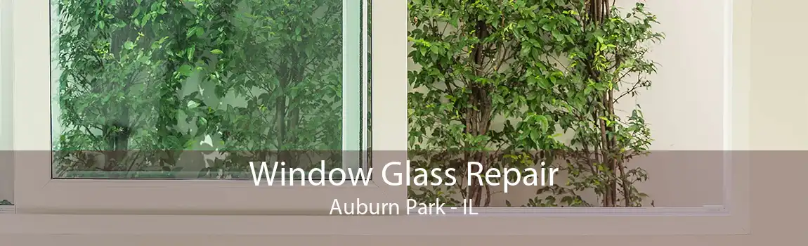 Window Glass Repair Auburn Park - IL