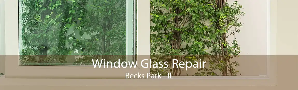 Window Glass Repair Becks Park - IL