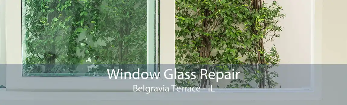 Window Glass Repair Belgravia Terrace - IL