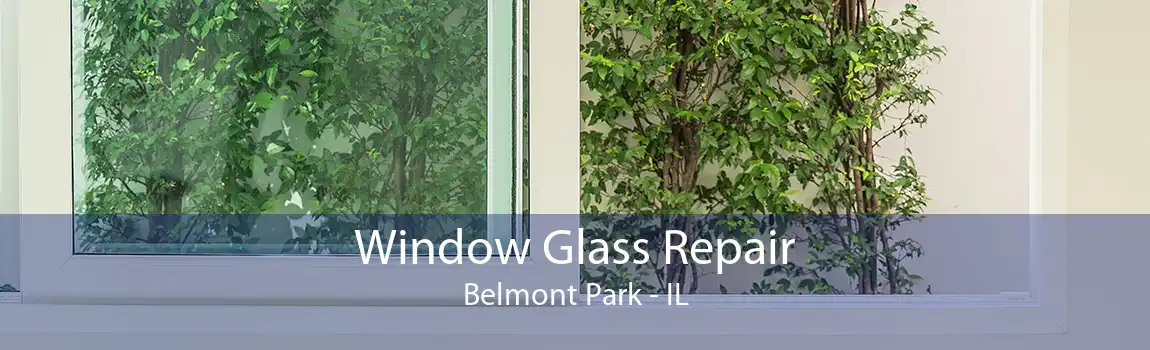 Window Glass Repair Belmont Park - IL