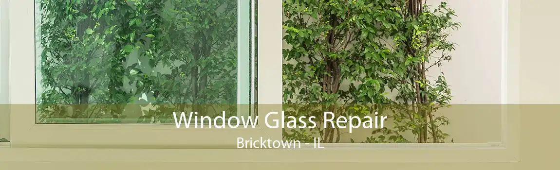 Window Glass Repair Bricktown - IL