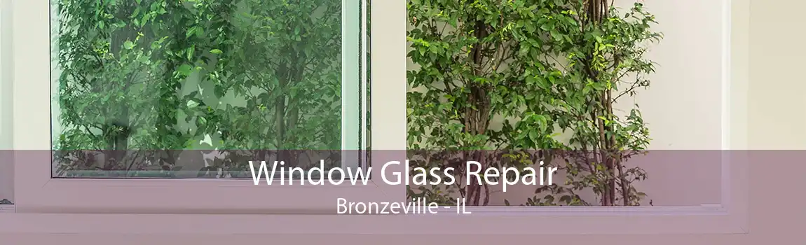 Window Glass Repair Bronzeville - IL