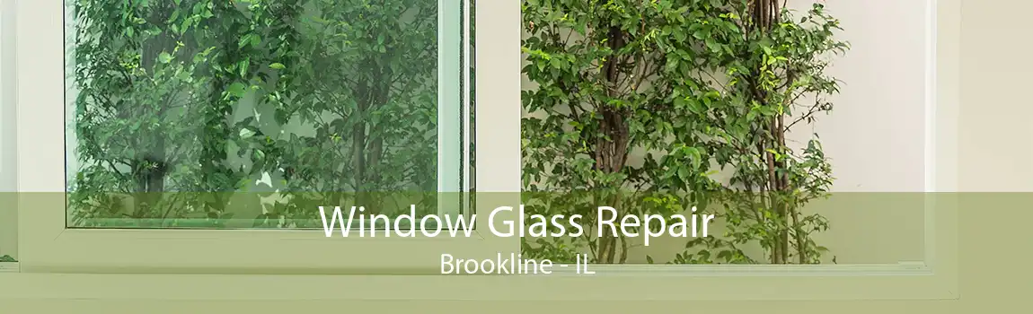 Window Glass Repair Brookline - IL