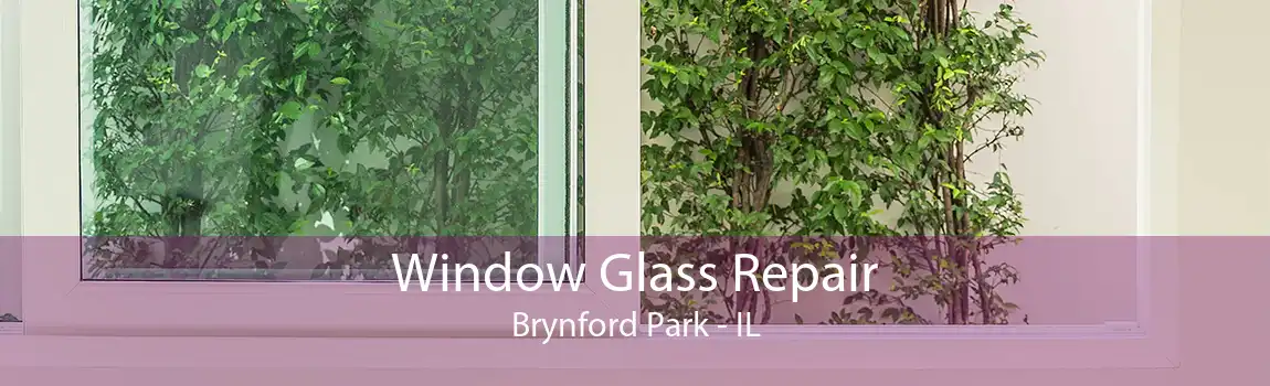 Window Glass Repair Brynford Park - IL