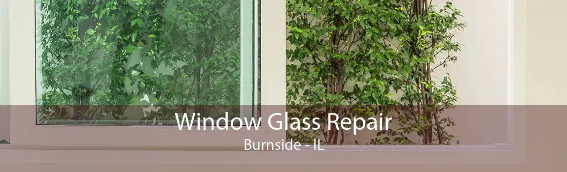 Window Glass Repair Burnside - IL