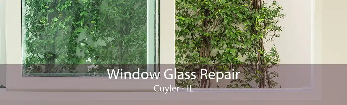 Window Glass Repair Cuyler - IL