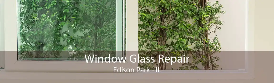 Window Glass Repair Edison Park - IL