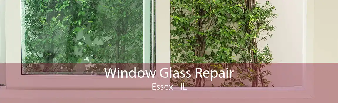 Window Glass Repair Essex - IL