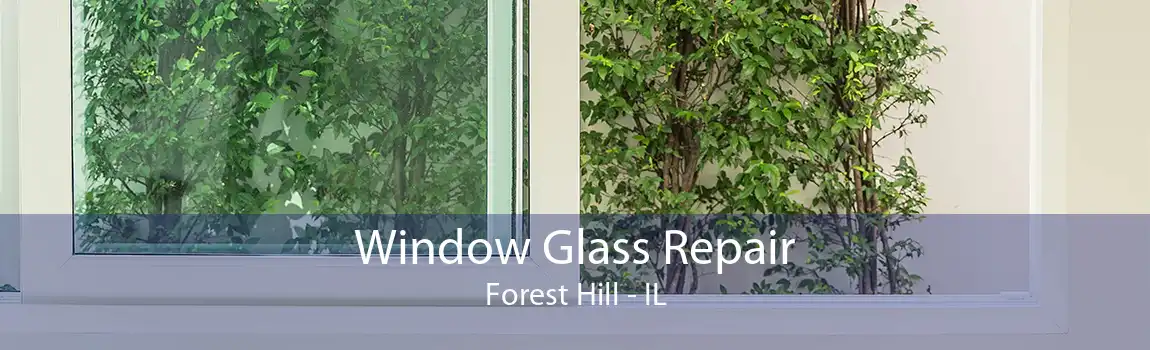 Window Glass Repair Forest Hill - IL