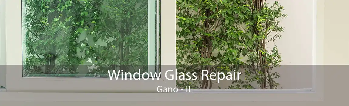 Window Glass Repair Gano - IL