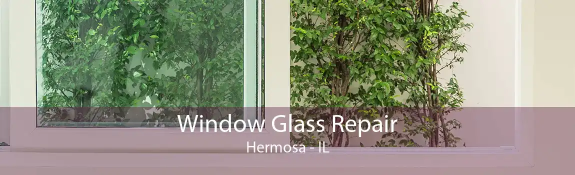 Window Glass Repair Hermosa - IL