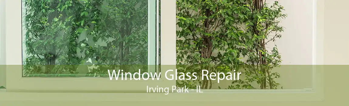 Window Glass Repair Irving Park - IL