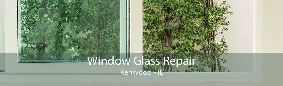 Window Glass Repair Kenwood - IL