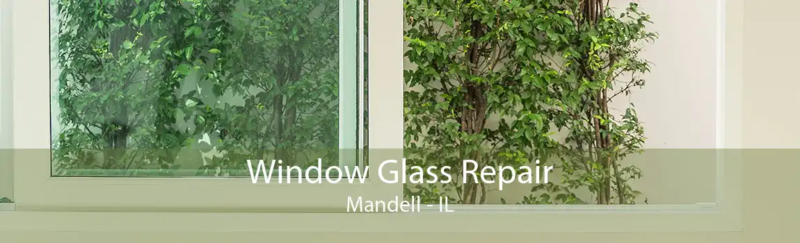 Window Glass Repair Mandell - IL