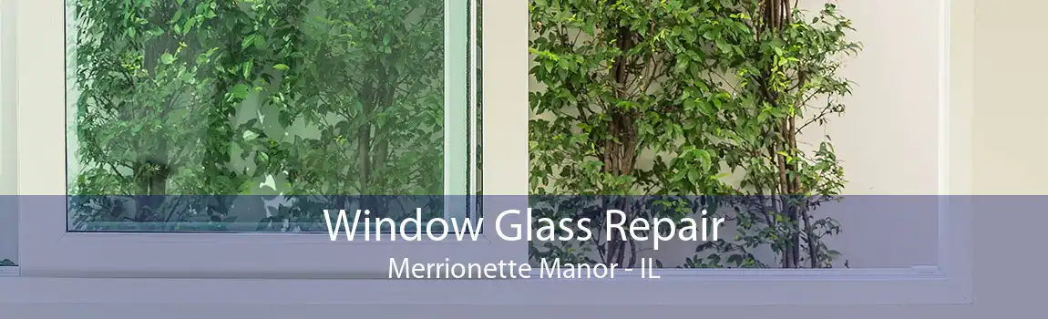 Window Glass Repair Merrionette Manor - IL