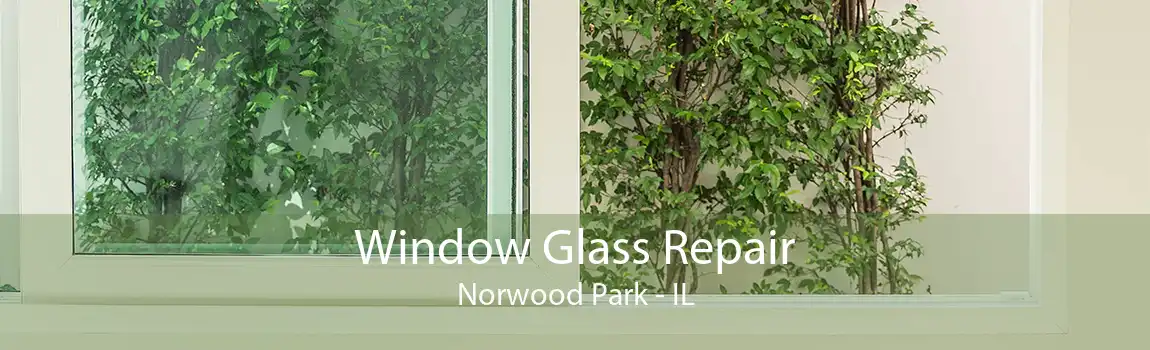 Window Glass Repair Norwood Park - IL