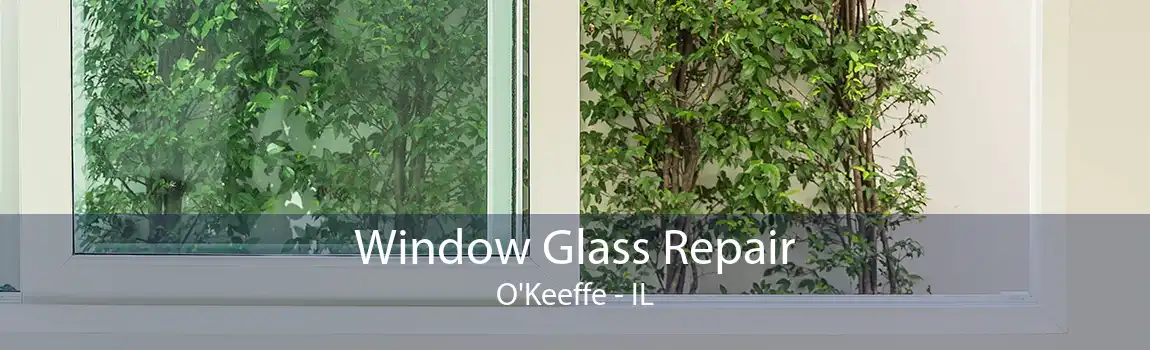 Window Glass Repair O'Keeffe - IL