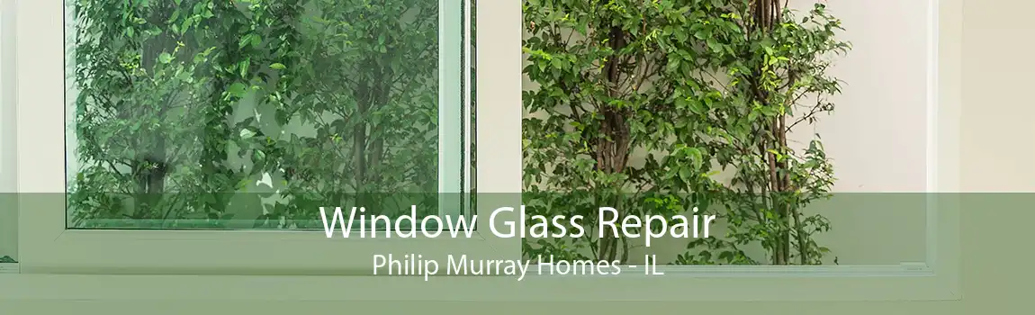 Window Glass Repair Philip Murray Homes - IL