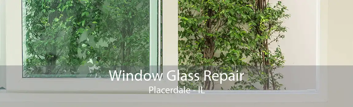 Window Glass Repair Placerdale - IL