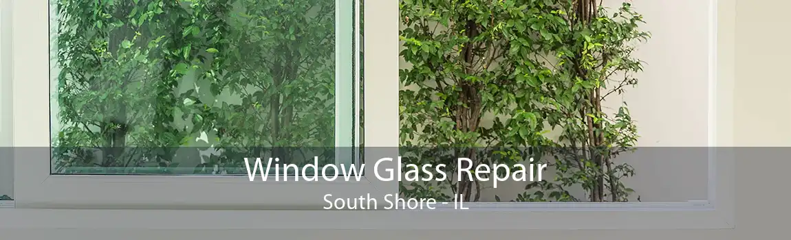 Window Glass Repair South Shore - IL