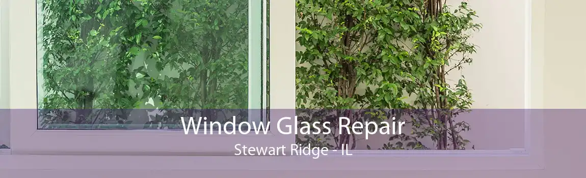 Window Glass Repair Stewart Ridge - IL