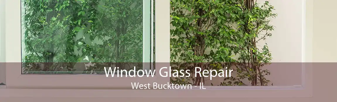 Window Glass Repair West Bucktown - IL