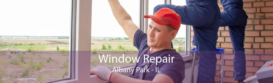 Window Repair Albany Park - IL